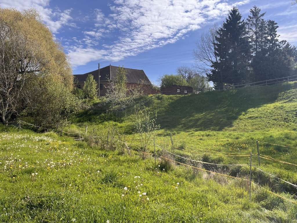 Immobilie in Bürgel - Historischer Dreiseitenhof mit großem Grundstück – viel Platz für Leben, Tiere und neue Ideen - Bild 4