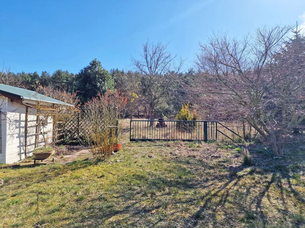 Immobilie in Zempin - Einfamilienhaus mit Blick ins Grüne und großzügigem Grundstück im Seebad Zempin - Bild 4
