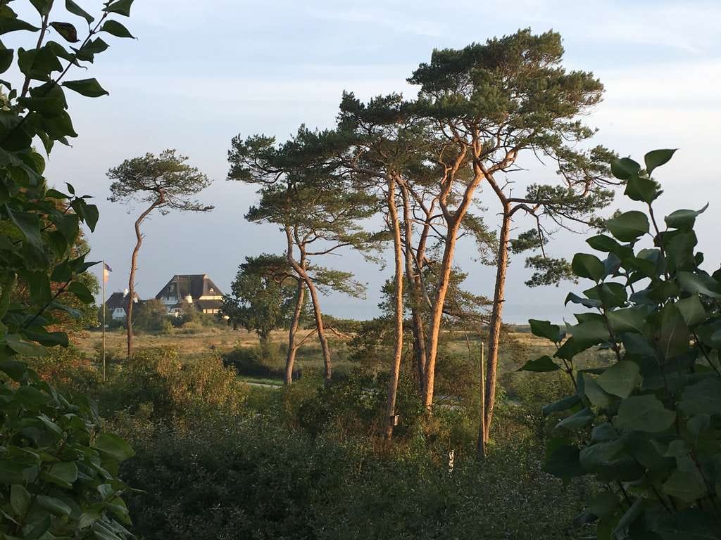 Immobilie in Hohwacht - Hohwacht/Ostsee: Besondere Wohnimmobilie am Kiefernwäldchen nur 300 m vom Meer entfernt. - Bild 1