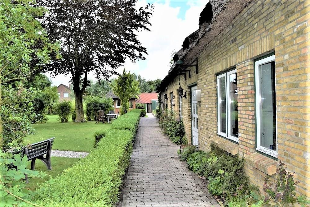 Immobilie in Drage - Mehrfamilienhaus in Drage - Bild 4