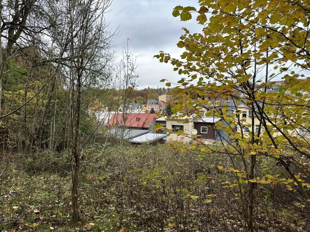 Immobilie in Markneukirchen - Einfamilienhaus mit Einliegerwohnung! - Bild 3