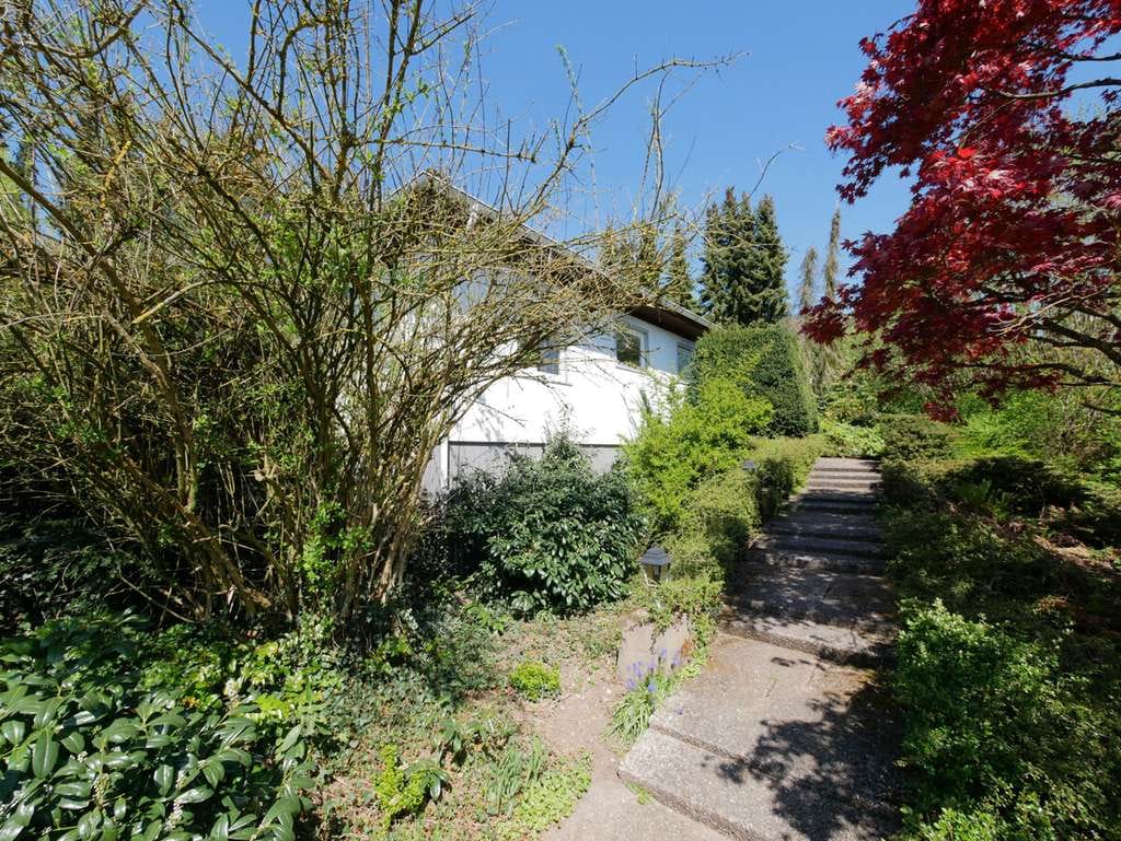 Immobilie in Bad Driburg - Einfamilienhaus mit Raum und großem Gartenparadies in Bad Driburg - Bild 1