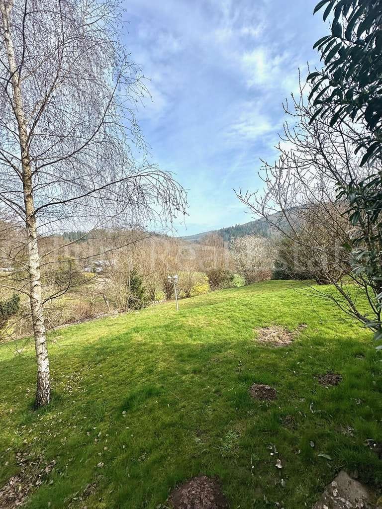 Immobilie in Heiligkreuzsteinach -  großzügiges Anwesen in idyllischer Lage im Odenwald  - Bild 3