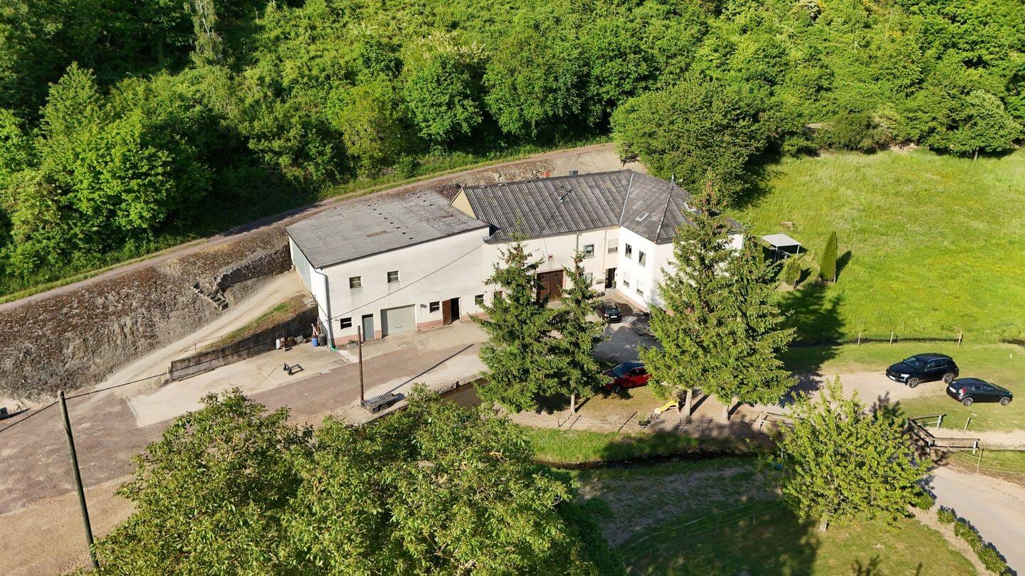 Immobilie in Saarburg - Idyllischer Bauernhof in Alleinlage Ideal für Tierliebhaber - Bild 0