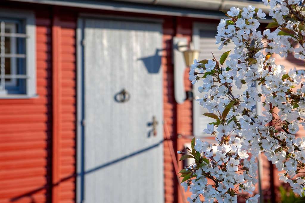 Immobilie in Bünsdorf - Holz-Ferienhaus am Wittensee – Naturnahes Wohnen in Bünsdorf - Bild 2