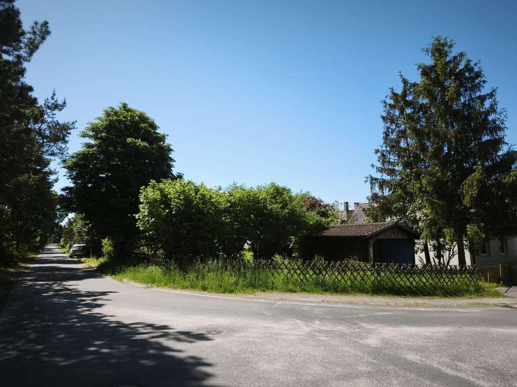 Immobilie in Zahna-Elster - am Wald: nette DHH auf 1887qm Grund mit Baulandreserve Zörnigall-Siedlung - Bild 3