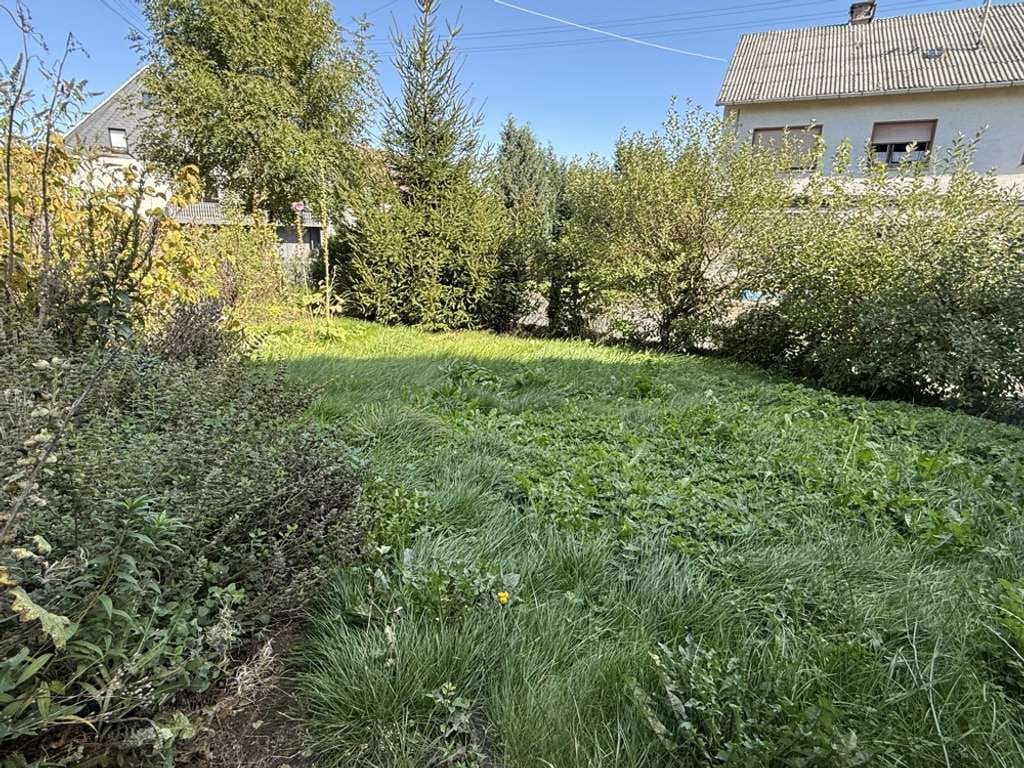 Immobilie in Rotenhain - Solides Einfamilienhaus mit Scheune und Garten in Rotenhain! - Bild 3