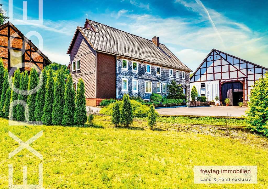 Immobilie in Lüerdissen - Weserbergland: Herrlicher Landsitz wie aus dem Bilderbuch - Bild 1