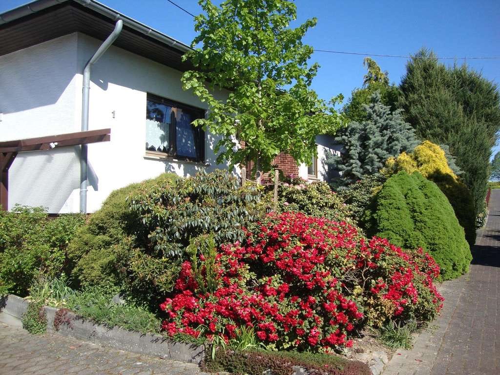 Immobilie in Dommershausen - Besser wohnen im Bungalow - 
Großzügigkeit auf einer Ebene mit zusätzlichem Wohnpotenzial - Bild 2