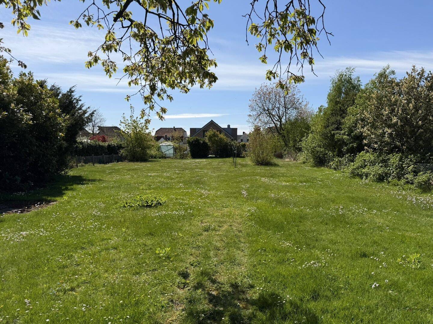 Immobilie in Bad Rothenfelde - Raum für Neues: Baugrundstück mit Altbestand in Bad Rothenfelde - Bild 1