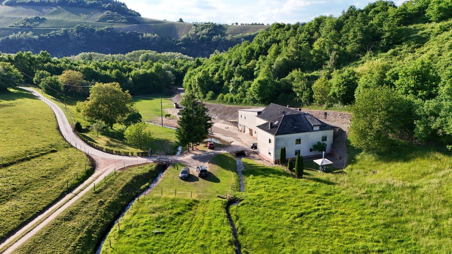 Immobilie in Saarburg - Idyllischer Bauernhof in Alleinlage Ideal für Tierliebhaber - Bild 4
