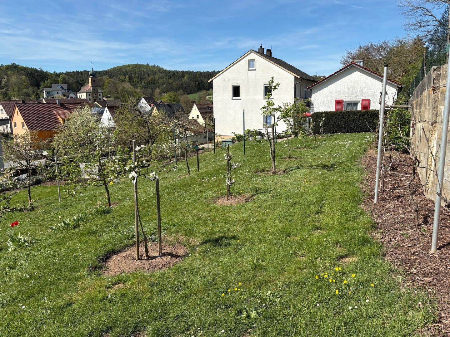 Immobilie in Baunach - Viel Platz, viele Möglichkeiten - großzügiges Einfamilienhaus mit Wohlfühlgarantie - Bild 2