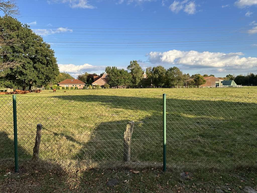 Immobilie in Ellerbek - Hochwertiger amerikanischer Bungalow in ruhiger Lage mit separater Einliegerwohnung - Bild 3
