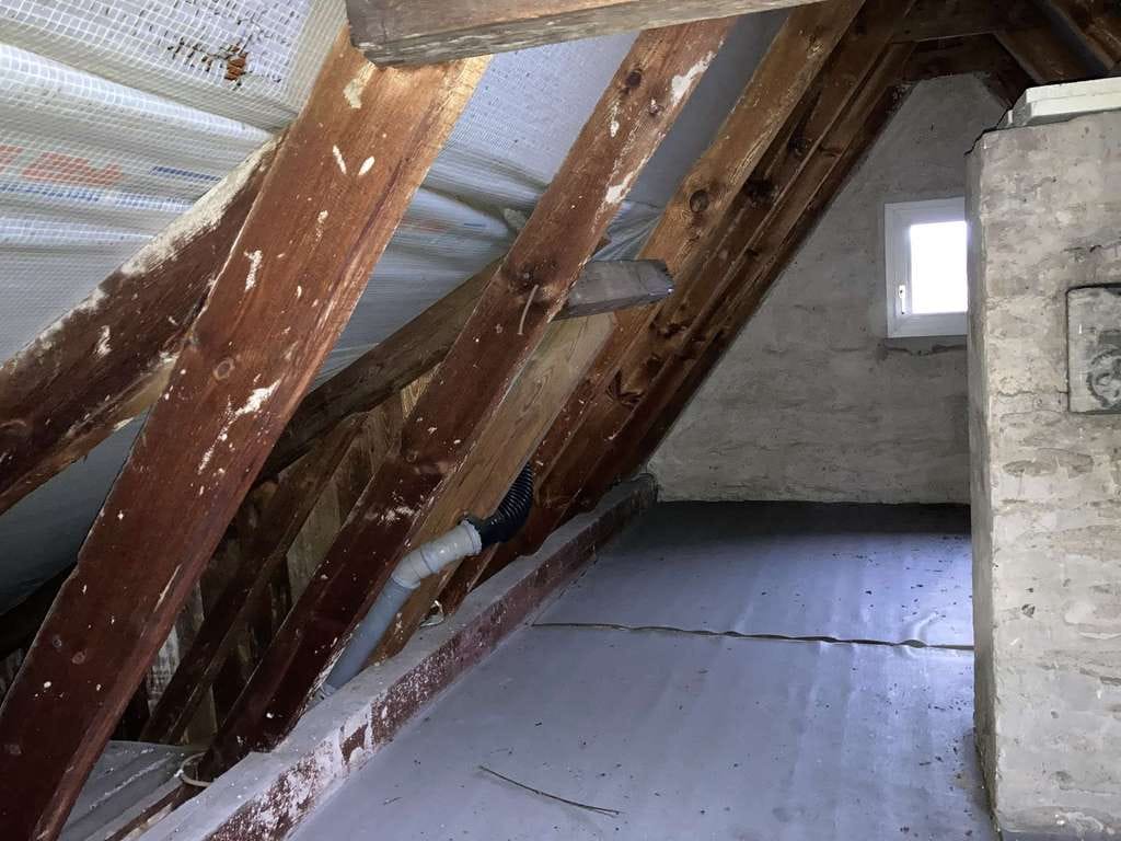 Immobilie in Leiferde - Charmantes Einfamilienhaus mit Nebengebäude in Leiferde – Ihr neues Zuhause! - Bild 0