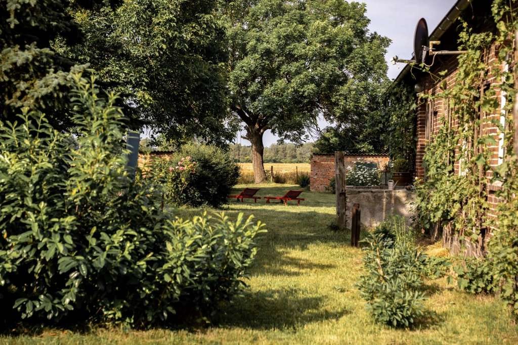 Immobilie in Wusterhausen/Dosse - Gartenhaus Dessow | Alleinlage | Top-bewertete Ferienimmobilie (als Wohnhaus nutzbar) | 1h Berlin - Bild 3
