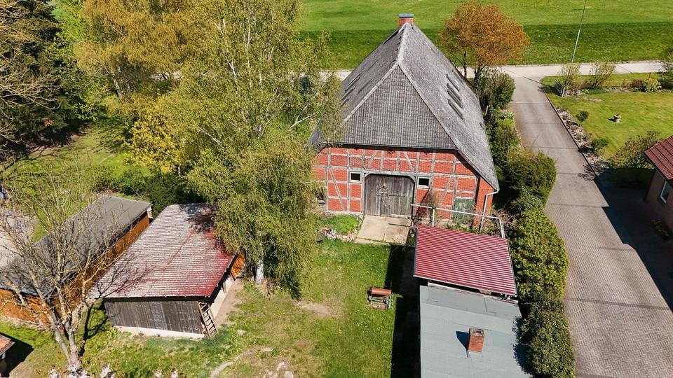 Immobilie in Bleckede - Historisches Bauernhaus am Elbdeich mit Loft-Potenzial - Bild 0