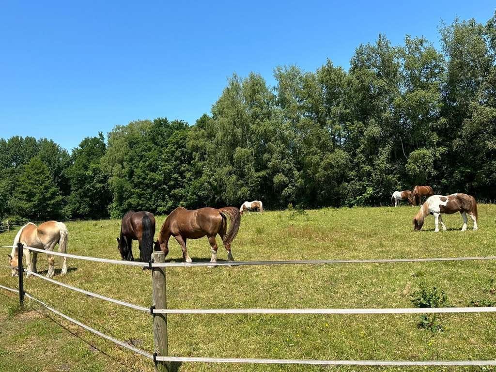 Immobilie in Grasberg - ***Nähe Falkenberger Kreuz/Lilienthal***großzügiges Anwesen mit zusätzlichem Bauplatz - Bild 2