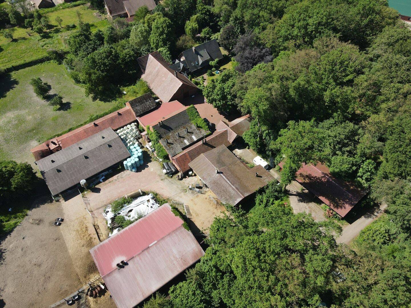 Immobilie in Essen/Oldenburg - Vom Hof zur Vision - Vielseitiges Landanwesen mit Perspektive - Bild 3
