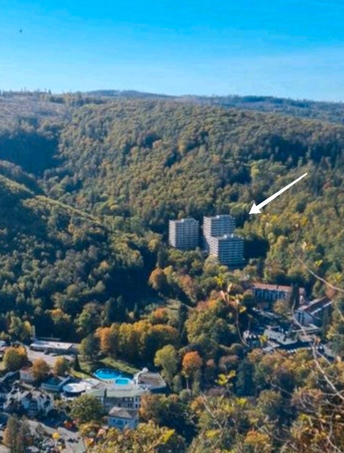 Immobilie in Bad Harzburg - Barrierefreie Eigentumswohnung im Wald evtl. Schwimmbadanteil - Bild 0