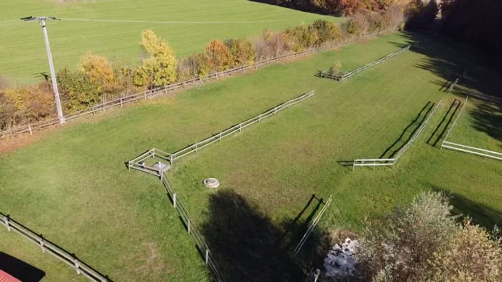 Immobilie in Kröning - Pferdehof in bester Alleinlage - Bild 2