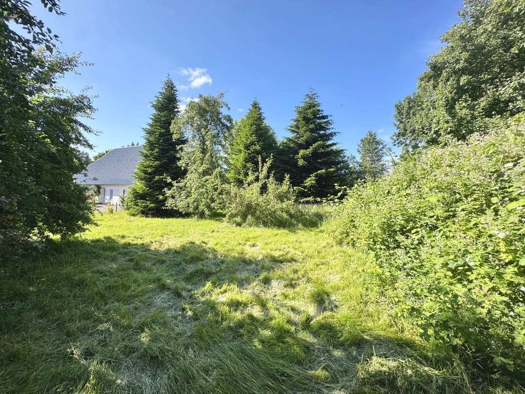 Immobilie in Bergenhusen - Gepflegtes Einfamilienhaus mit kleiner Scheune und Erweiterungspotential - Bild 2