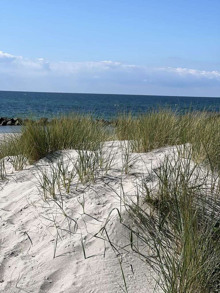 Immobilie in Zingst - Direkt an Strand & Seebrücke: Kapitalanlage oder Urlaubsdomizil in Zingst - Bild 0