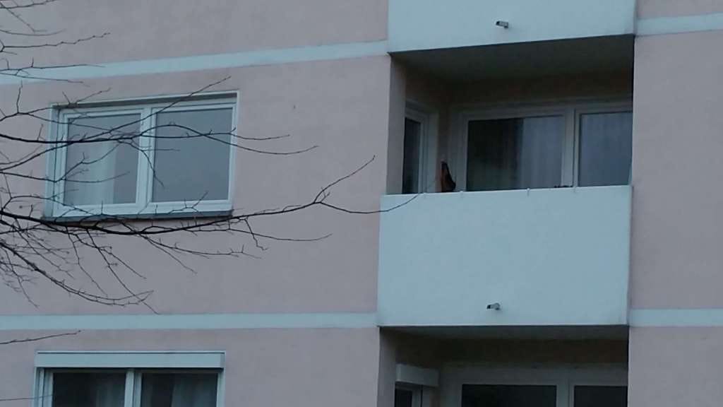 Immobilie in Weinheim - 1 Zimmerwohnung mit Balkon - Bild 0