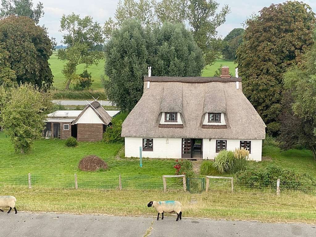 Immobilie in Brokdorf - Schöne Reetdachkate in direkter Elbdeichlage - Bild 2