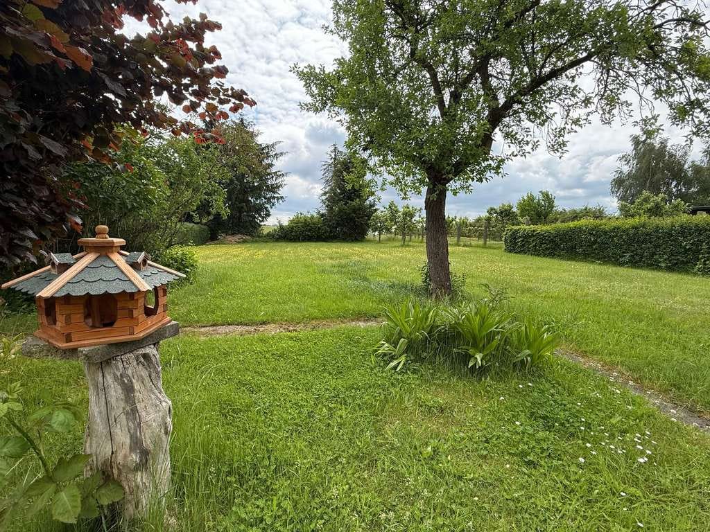 Immobilie in Warnow - Einfamilienhaus in Warnow mit großem Grundstück und Einliegerwohnung - Bild 1