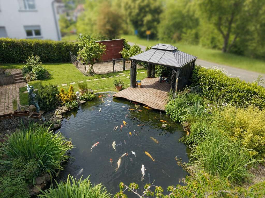 Immobilie in Weimar (Lahn) - Wohnen mit Urlaubsfeeling – großzügiges Zuhause mit Einliegerwohnung und Schwimmteich - Bild 1