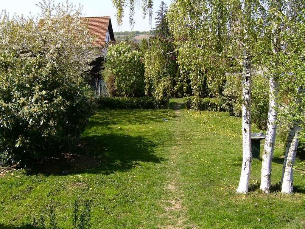 Immobilie in Siefersheim - Einfamilienhaus mit Garten in Siefersheim - provisionsfreier Verkauf - Bild 1