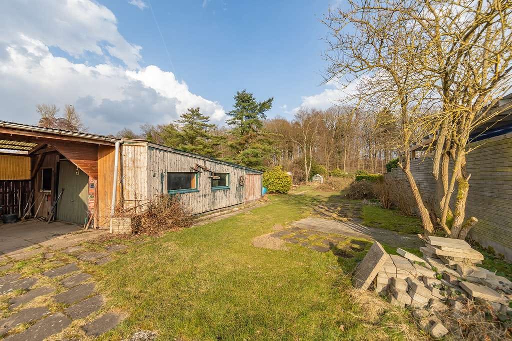 Immobilie in Börnsen - NEU BÖRNSEN- Großzügiges Grundstück in Waldrandlage mit Altbestand und 2 Baufeldern - Bild 4