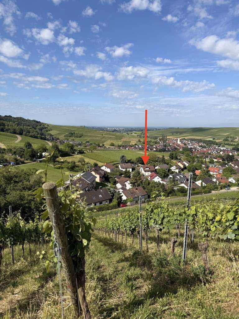 Immobilie in Pfaffenweiler - Modern sanierte 4-Zimmer-Wohnung in absoluter Traumlage von Pfaffenweiler - Bild 0