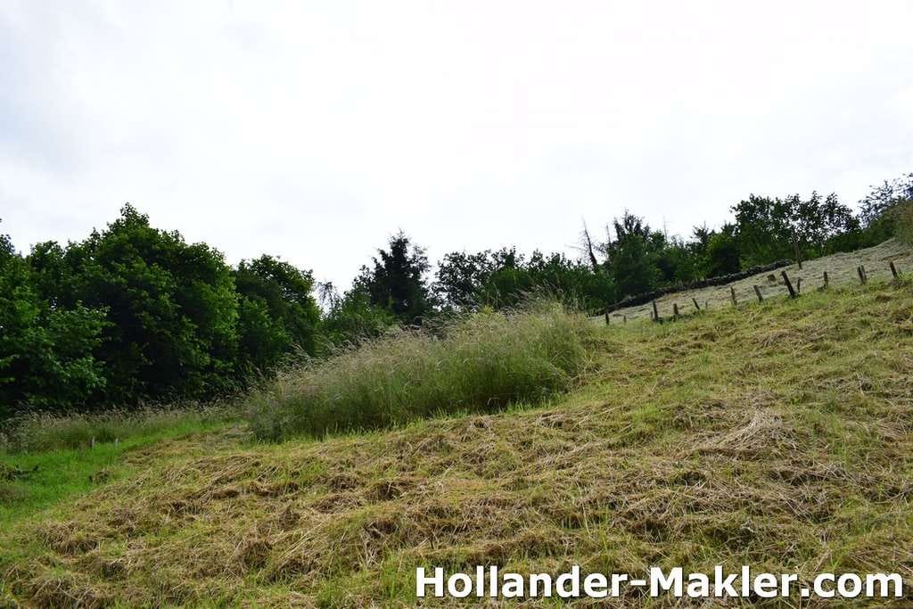 Immobilie in Briedel - Handwerkerhaus mit Potenzial und herrlichem Blick auf die Weinberge in Briedel - Bild 5