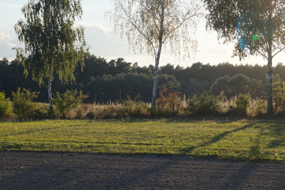 Immobilie in Grunow-Dammendorf - Verkaufe kl. Bauernhof in ruhiger Lage - Bild 2