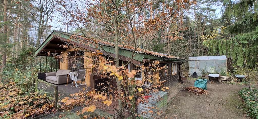 Immobilie in Hitzacker - Idyllisches Blockhaus in gefühlter Alleinlage - Bild 2