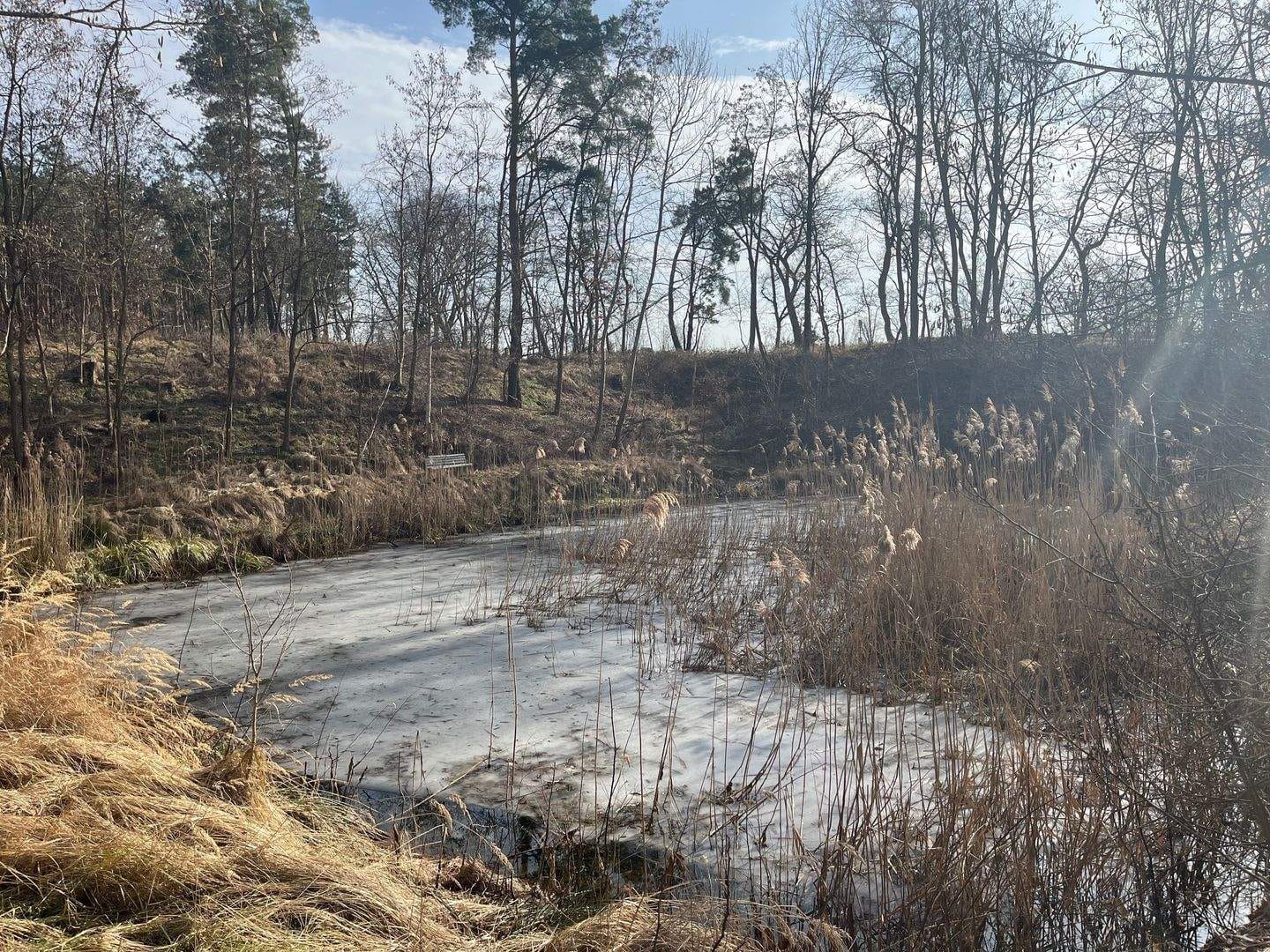Immobilie in Lübbow - Absolute Alleinlagegrundstück in Lübbow mit kleinem See - Bild 4