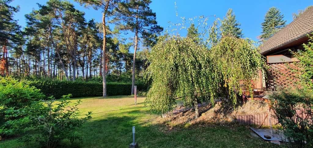 Immobilie in Gorleben - Sehr geräumig - mit Waldzugang - Sackgassenlage - 1, 2 oder 3 Einheiten? Sie entscheiden - Bild 2