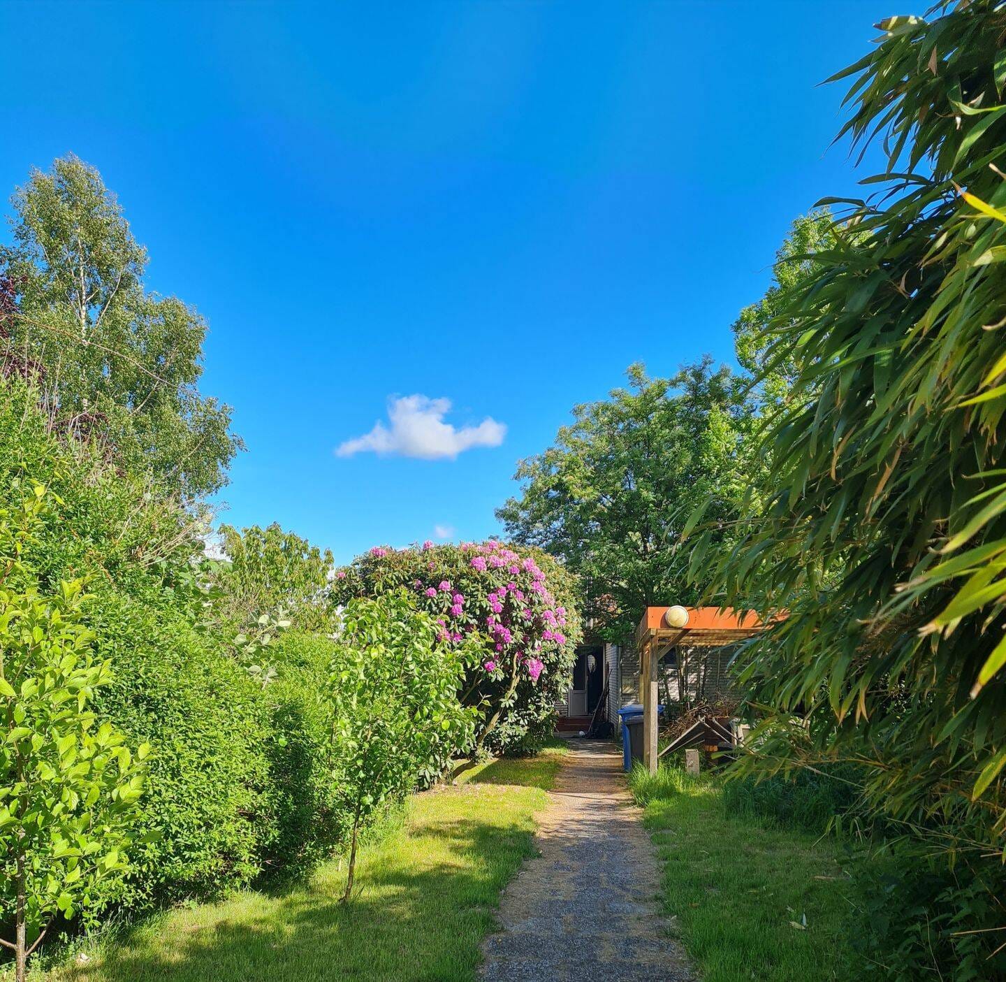Immobilie in Neuhaus - Mit Herzblut ein Paradies erschaffen, Einfamilienhaus ebenerdig  mit Baugrundstück, auch Mietkauf - Bild 1