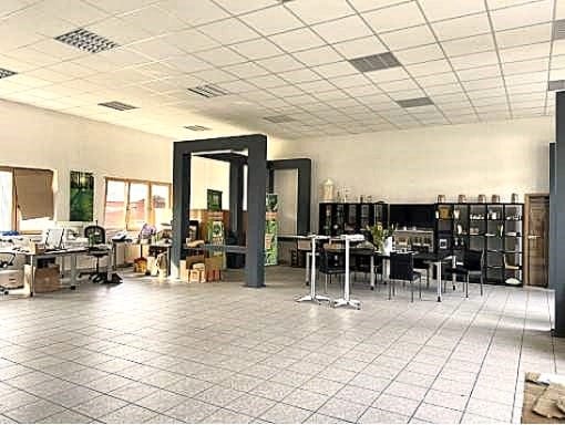 Immobilie in Waren (Müritz) - Lager-/Produktionshallen mit Ausstellungs-/Verwaltungsgebäude sowie landw. Flächen auf ca. 46.000 m² - Bild 1