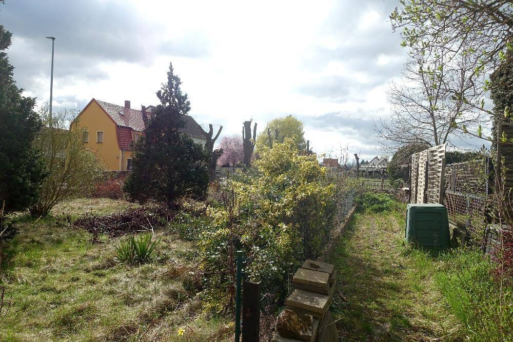 Immobilie in Plessa - Großzügiges Wohnhaus mit Gewerbeeinheit und weitläufigen Grundstück - Bild 2