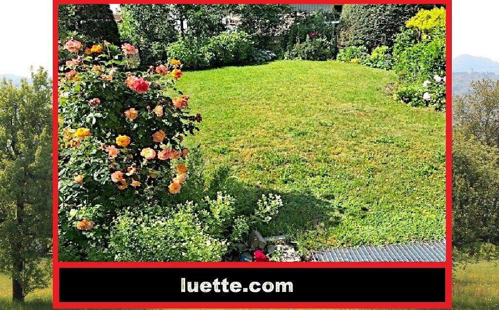 Immobilie in Görwihl - Einfamilienhaus (DHH), 7 ½ Zi, ca. 153 m² Wohnfl., in ruhiger, sonniger Lage, ideal für Familie m... - Bild 0