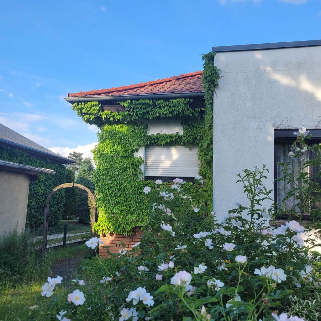 Immobilie in Niedere Börde - EFH ca.200m²/933m² Samswegen nahe Waldgebiet VB - Bild 2