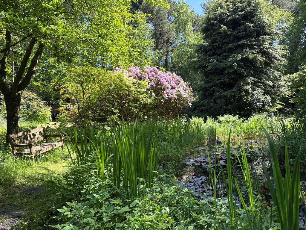 Immobilie in Hagen im Bremischen - Idyllisches Wochenendhaus in Lehnstedt – Hagen im Bremischen - Bild 2