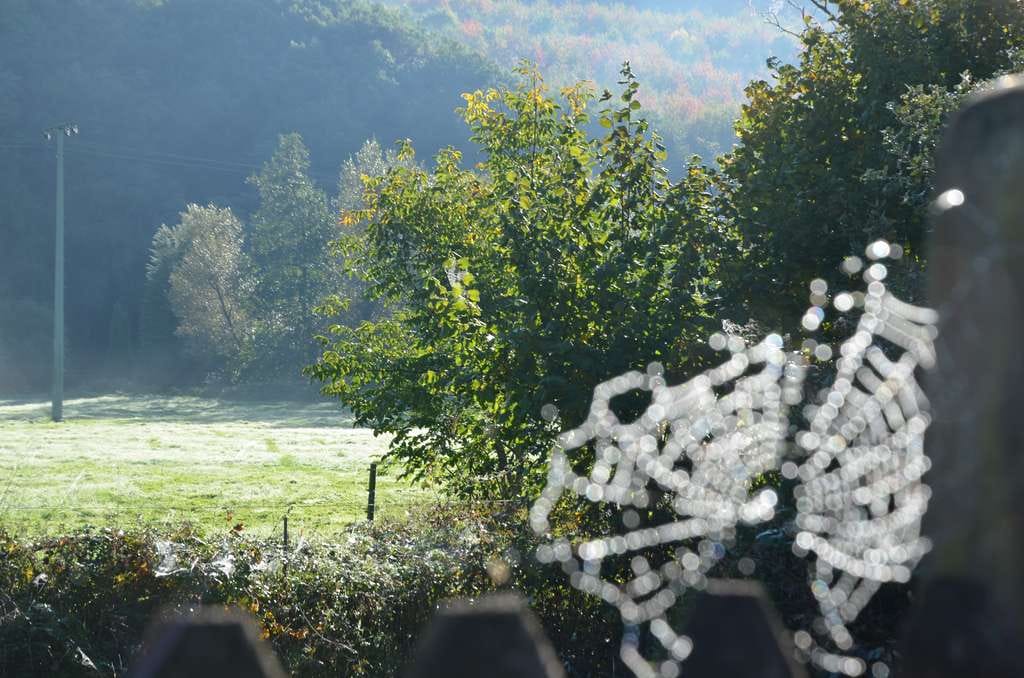 Immobilie in Rüssingen - STADTVILLA MIT SÜDSTAATENFLAIR - Bild 4
