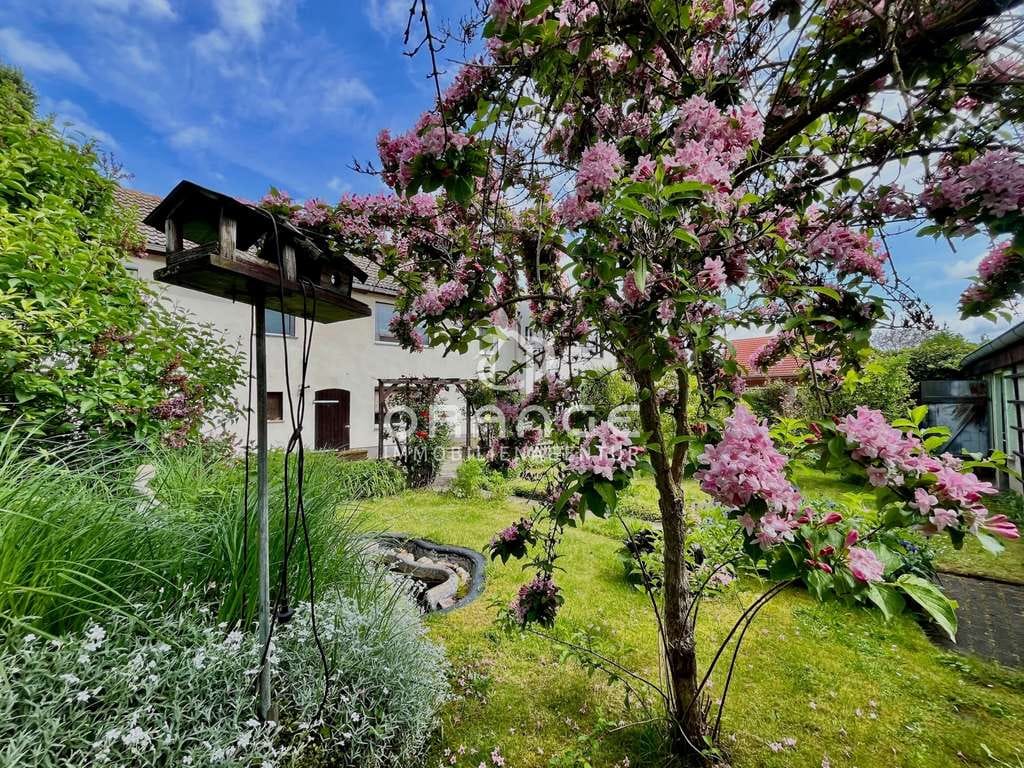 Immobilie in Goseck - *** Ein Haus, viele Perspektiven – ideal für Familien und Generationenwohnen *** - Bild 4
