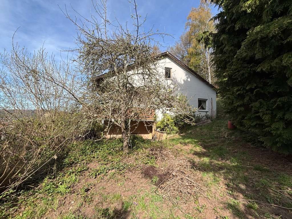 Immobilie in Lemberg - Einfamilienhaus mit Einliegerwohnung und großem Waldgrundstück in ruhiger Wohnlage von Lemberg - Bild 1