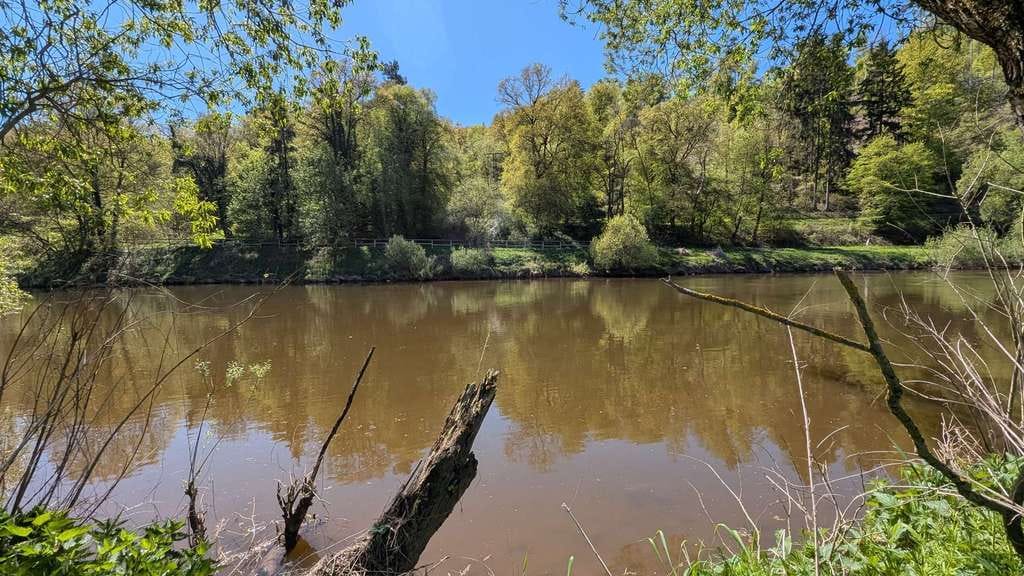 Immobilie in Staufenberg - Traumhafte Lage - Schöne und ruhige DHH am Niedersachseneck mit Blick auf die Fulda - Bild 3