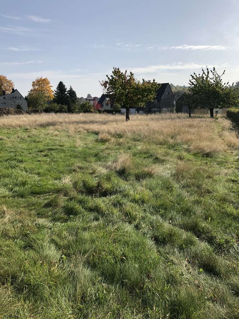 Immobilie in Ohorn - Preislich nicht zu toppen - bauen Sie ein Doppelhaus in Ohorn! - Bild 2
