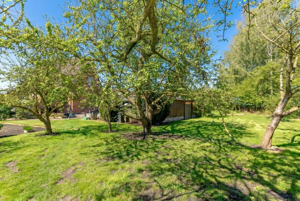 Immobilie in Neubukow - Freistehendes Einfamilienhaus mit potentiellem Baugrundstück - Bild 4